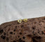 Heart Studs