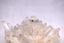 Corrosion Ring