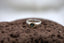 Daintree River Ring