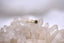 The Eucalypt Ring