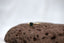 Flinders Ring