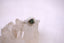 The Flourish Ring