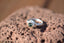 The Flourish Ring