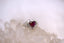 The Heartlands Ring