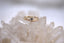 The Paperbark Ring
