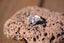 Sunset Gum Ring
